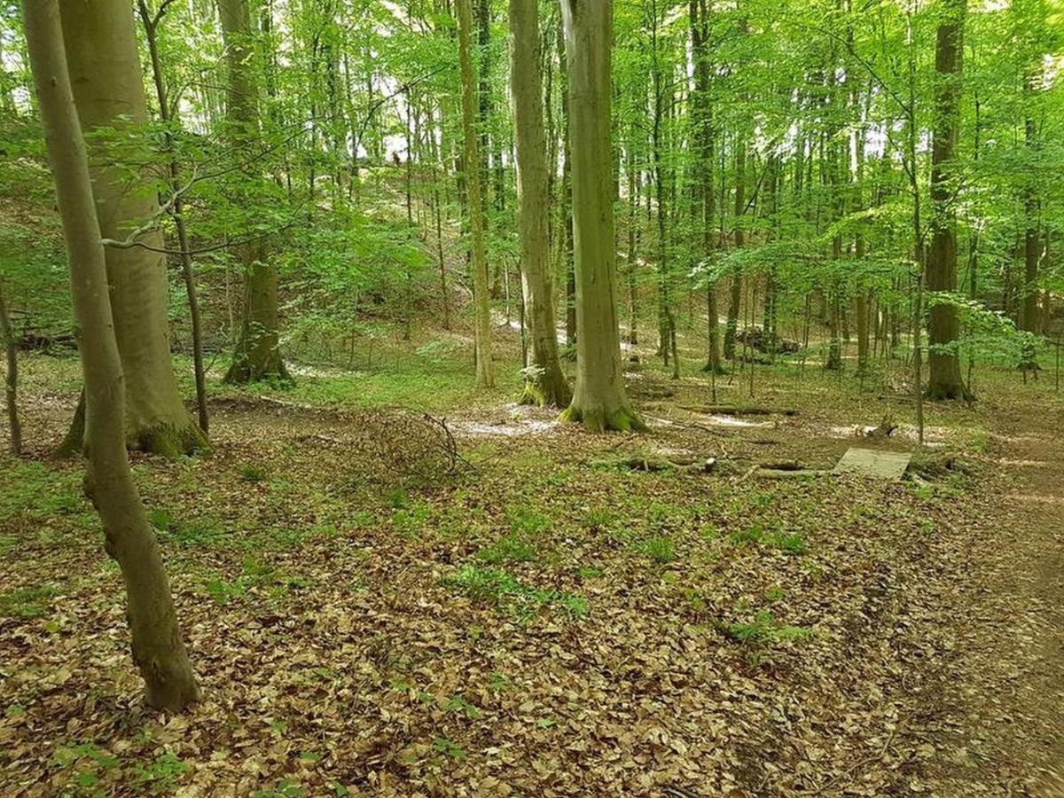 Feriendomizil Bergamini Bischoffingen Exterior foto