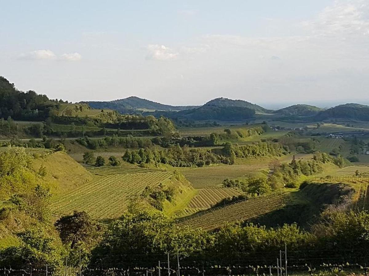 Feriendomizil Bergamini Bischoffingen Exterior foto