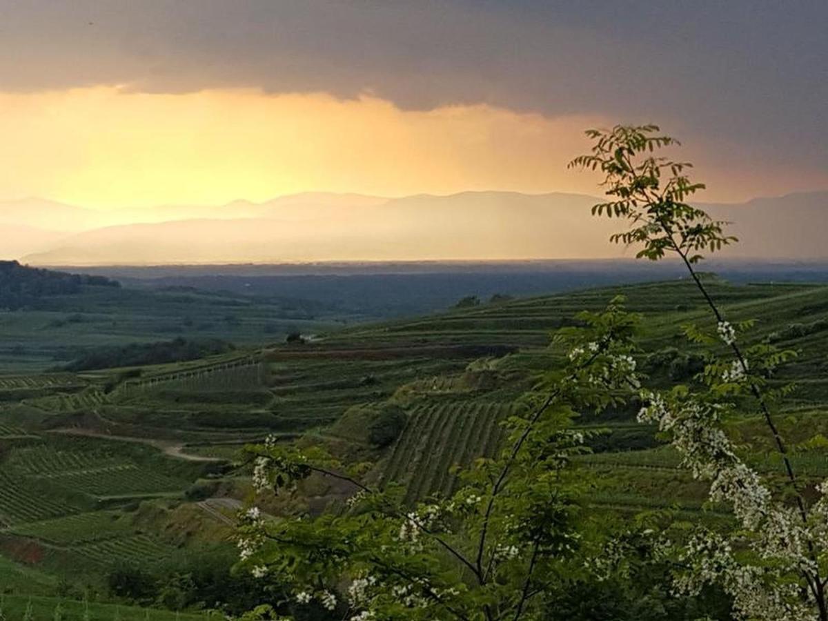 Feriendomizil Bergamini Bischoffingen Exterior foto