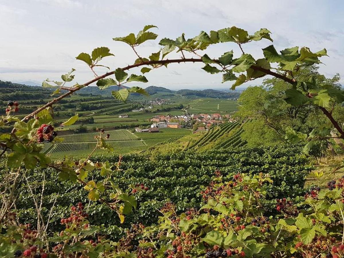 Feriendomizil Bergamini Bischoffingen Exterior foto